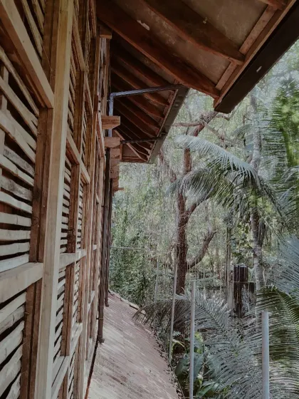 A detail of the exterior walkway of the earthen cottage in Moira. The wooden structure and slatted walls blend seamlessly with the dense green foliage of the surrounding environment.