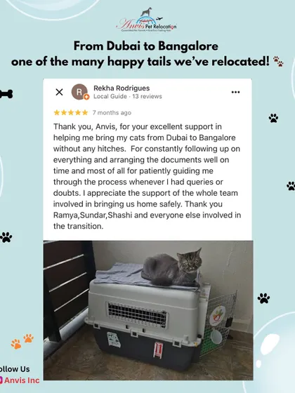 This happy cat, pictured resting on its IATA-compliant travel crate, is one of the many happy tails we have relocated. The journey from Dubai to Bangalore was seamless, thanks to our team's constant follow-ups and patient guidance through the documentation process.