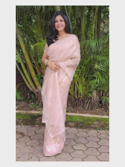 A beautiful organza saree, perfect for an elegant evening.