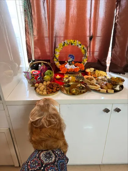 Posto admiring the beautiful Janmashtami prasad spread. He's probably eyeing the dog-friendly treats.