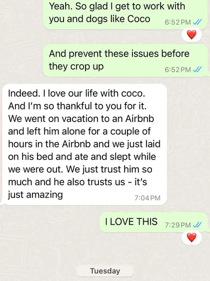 A message from Coco's family in Germany. They were able to go on vacation and leave him alone in an Airbnb, and he was perfectly calm. This is the result of building trust and teaching isolation skills from puppyhood. It's just amazing.