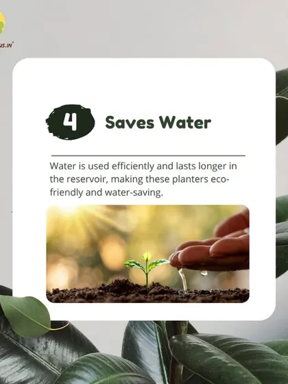 Our planters are also eco-friendly. Because the water is contained in a reservoir and used efficiently by the plant, there is less water waste compared to traditional watering methods.
