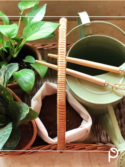 A basket of essential gardening tools, soil, and starter plants. A garden can be as simple as a single potted plant on your windowsill; it's about enjoying nature in a way that is personal to you.