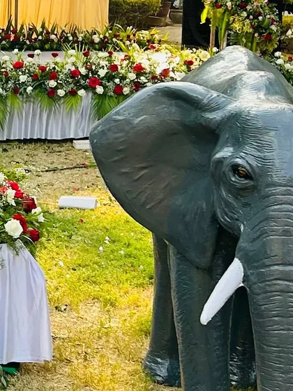 A life-sized elephant prop used as a decorative element for a destination engagement, adding a unique and grand touch to the outdoor setting.