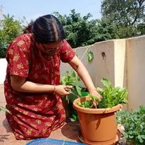 A customer tending to her potted plants on her sunny terrace. Gardening is a therapeutic activity for all ages, providing a peaceful escape from the hustle and bustle of city life.