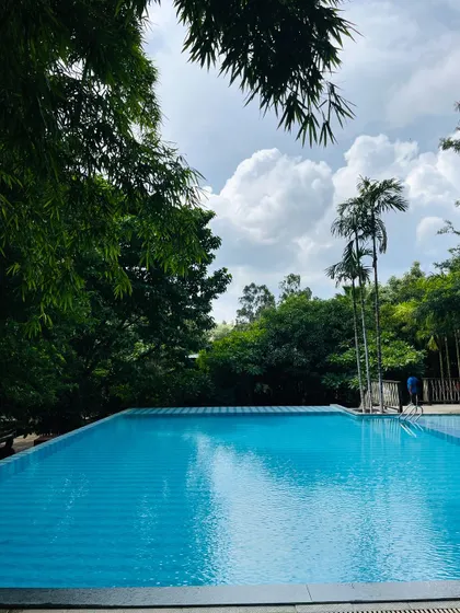 Our swimming pool, surrounded by lush bamboo and palm trees, is an oasis of calm. It's the perfect place for a refreshing dip under the open sky.