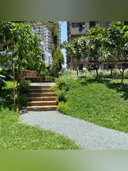 A gravel path leads up a gentle slope with stone steps, flanked by soft, mounded groundcover and Frangipani trees. The design creates a gentle, meandering journey through the garden.