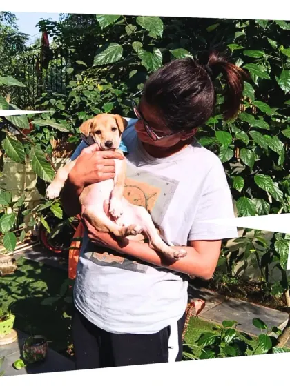A playful lift for Bo Peep from Vizal. These happy, personal interactions are a core part of the PetSpot experience.