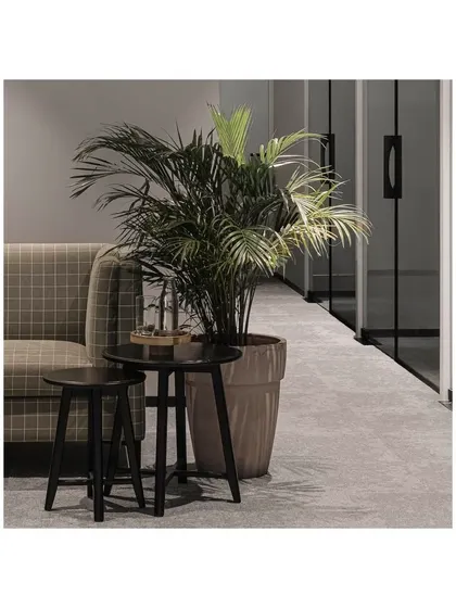 A detail shot of the waiting area, where a potted plant adds a touch of green next to the checkered couch and black side tables. These small touches bring life and softness to a corporate environment.