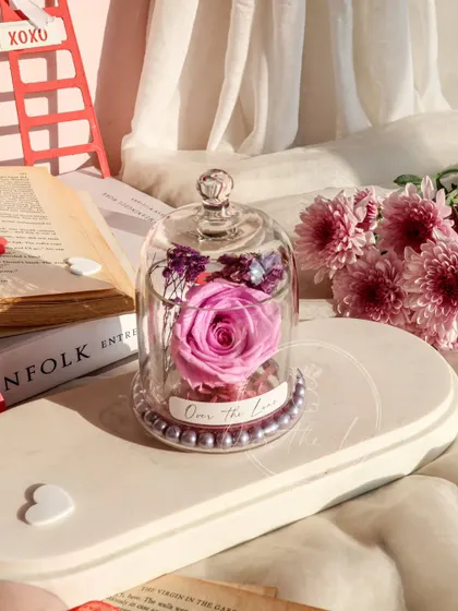 The full view of the pink Eternal Rose in its glass cloche.
