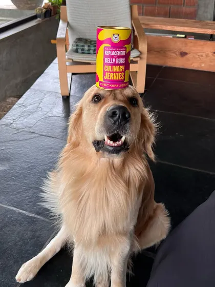 The ultimate test of patience! This good boy is showing off his balancing skills with a can of my Chicken Jerky. It’s a treat worth waiting for.