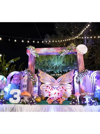 Another shot of the magical butterfly stage under the night sky.