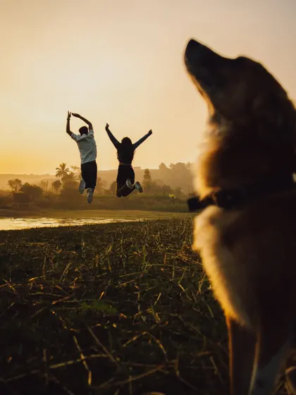 Even the local residents approve. This fun, unexpected moment with a furry friend adds a touch of spontaneity and charm to this couple's pre-wedding jump for joy.