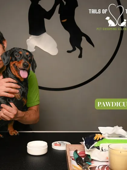 A pawdicure is more than just a nail trim. We provide a full treatment to ensure your dog's paws are clean, moisturized, and healthy.