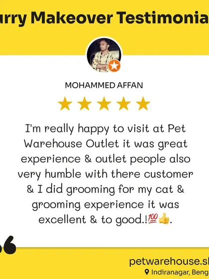Mohammed Affan had an "excellent & too good" grooming experience for his cat at our Indiranagar outlet. We're so glad he found our team to be humble and his visit to be a great one.