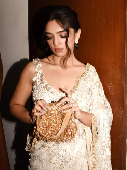 A close-up on the details of Ahsaas Channa's Heeramandi premiere look, from the delicate purse to the intricate saree embroidery.