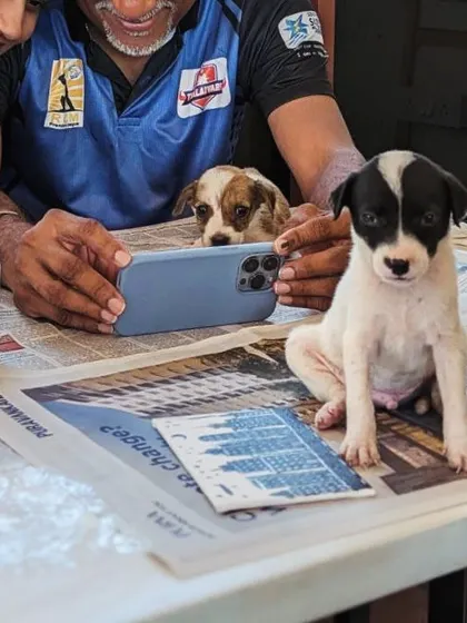 It's not just about the main event. It's about the small, unforgettable moments, like this participant capturing a picture of a curious puppy during our art session. Every interaction helps a shelter animal feel loved.