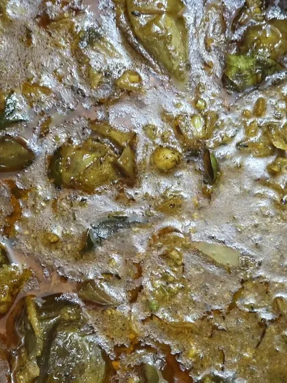 A rich, dark curry, likely a traditional Andhra preparation like Gutti Vankaya (stuffed brinjal curry), showcasing our regional expertise.