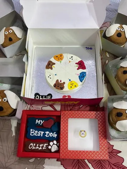 Ollie, a dog adopted from us, celebrating her first birthday with a custom cake and treats. It is so rewarding to see our adoptees so loved.