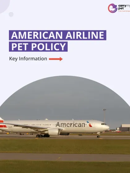 Flying with American Airlines? This guide provides key information on their pet policy, including which pets are eligible and how they can travel.