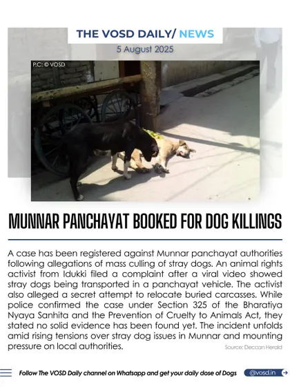 Munnar panchayat authorities have been booked following allegations of mass culling of stray dogs. A viral video showed dogs being transported in a panchayat vehicle, sparking an investigation into this alleged cruelty.