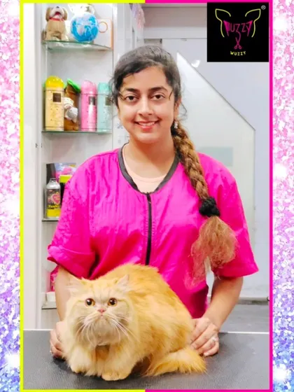 This ginger Persian cat is getting ready for the festive season. A clean, mat-free coat is the perfect way to prepare for family photos and celebrations.