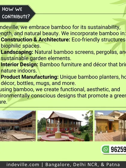 This graphic details how I contribute to a greener future by using bamboo. I incorporate it into construction, landscaping, interior design, and even product manufacturing to create functional and environmentally conscious designs.