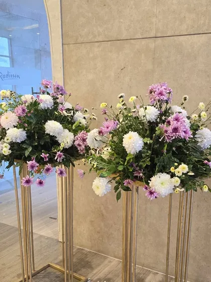 Tall floral stands for an event entrance at the Radisson. These arrangements feature white and purple chrysanthemums, adding a touch of sophistication to the guest welcome area.