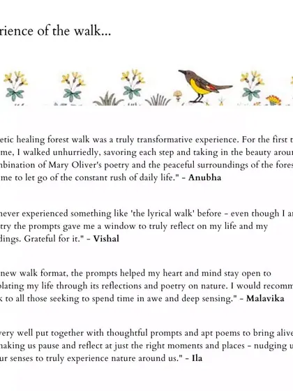 These are more reflections from people who have joined my walks. Their words speak to the soul-nourishing, meditative, and connecting power of blending poetry with nature. I am so grateful for their willingness to share their experiences.