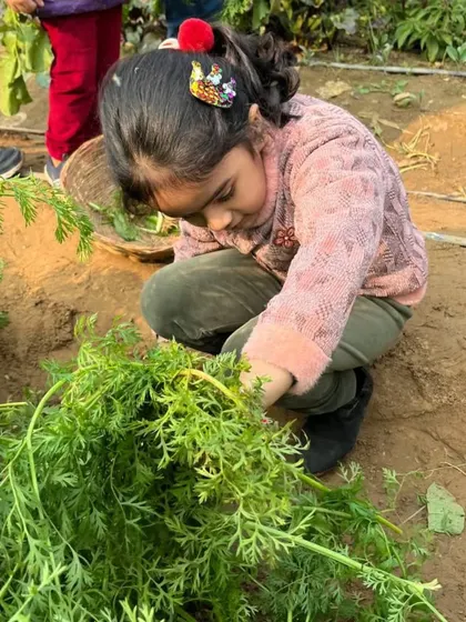 A little girl carefully pulling a carrot from the soil, experiencing the magic of harvesting firsthand.