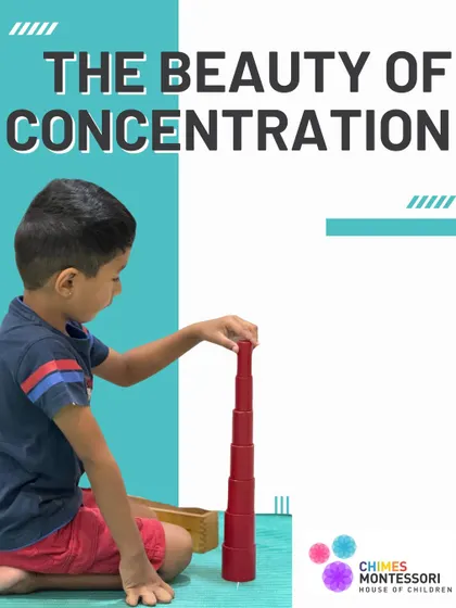 The beauty of concentration is evident as this child builds the iconic Pink Tower, learning to discriminate by size and developing a sense of order.