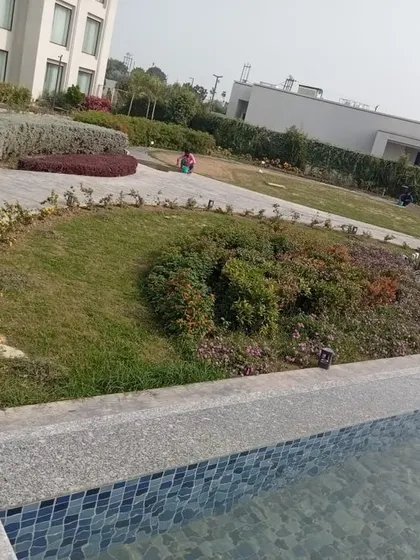A poolside area at a hotel or resort in Gorakhpur that we landscaped. The design includes gentle mounds, mixed flower beds, and pathways for a relaxed, natural feel.