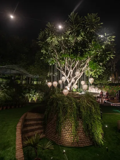 A beautifully lit tree with hanging lanterns, creating a stunning focal point on the lawns at night.