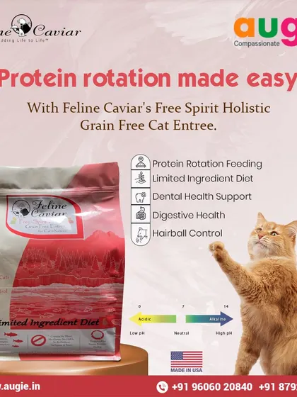 Protein rotation is a great way to prevent food sensitivities. Feline Caviar's limited ingredient diet makes it easy to switch between proteins while supporting digestive and dental health.