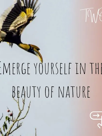 Emerge yourself in the beauty of nature with us. A hornbill in flight captures the wild, free spirit of the environments where we host our retreats, encouraging a deeper connection with the world around us.