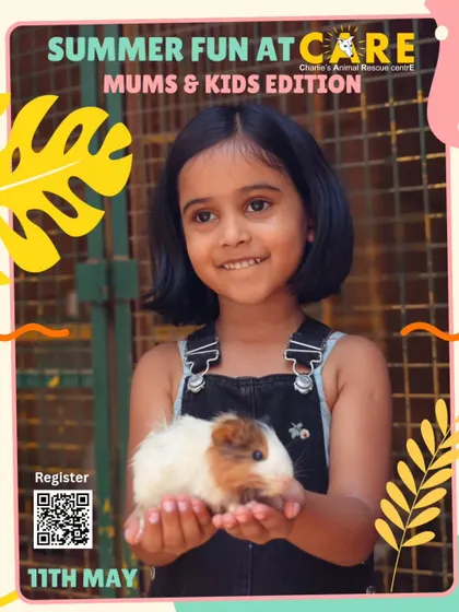 A young visitor proudly holds a guinea pig during our Summer Fun event. These gentle interactions teach children about the responsibility and joy of caring for animals.