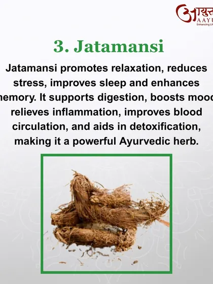 Jatamansi is a powerful Ayurvedic herb that promotes relaxation and reduces stress. It supports a calm mind, which is crucial for improving sleep quality.