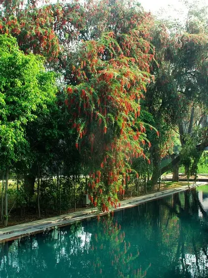 The monsoon season brings a special charm to the resort, with the greenery becoming even more vibrant. It is a wonderful time to experience our natural sanctuary.