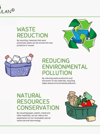 This infographic explains the key benefits of recycling: waste reduction, reducing environmental pollution, and conserving our precious natural resources.
