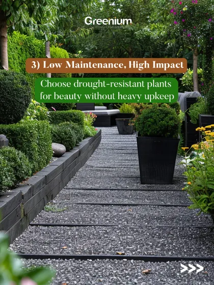 Low maintenance, high impact. Choosing drought-resistant plants is a smart way to have a beautiful garden without the heavy upkeep. This image shows a gravel path lined with hardy shrubs and perennials.