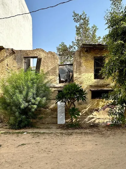 The ruins of a portion of Majumdar Wada, where nature begins to reclaim the structure. Observing this process informs my understanding of material decay and the long-term life cycle of buildings.
