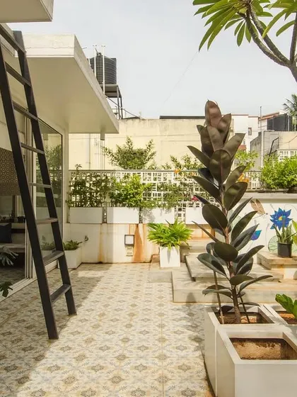 The terrace of a renovated home, transformed into a lush garden. This project shows that even in urban settings, outdoor spaces can become vibrant green sanctuaries, blurring the line between inside and out.