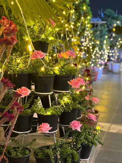 I love integrating lighting directly into the natural elements of the space. Here, fairy lights are woven through potted plants, adding a magical glow to the greenery on the rooftop.