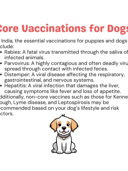 For dogs in India, core vaccinations against Rabies, Parvovirus, and Distemper are essential. I administer these and can also advise on non-core vaccines based on your dog's specific risk factors.