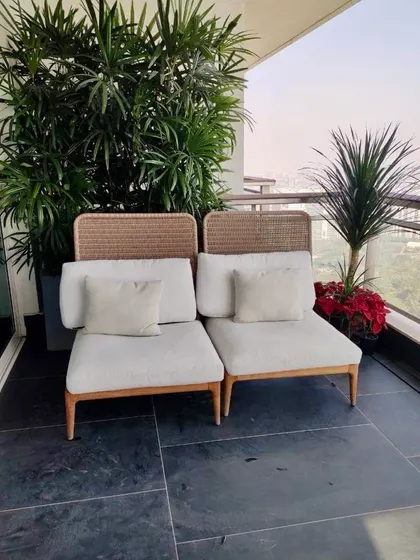 The placement of this Raphis Palm behind the sofa not only beautifies the balcony but cleverly hides the bare wall, creating a lovely green background for this cozy seating nook.