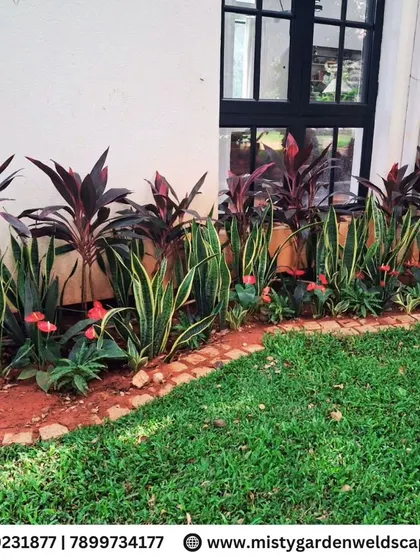 A colorful and low-maintenance plant bed featuring Cordylines, Snake Plants, and flowering annuals, adding a splash of color against the green lawn.