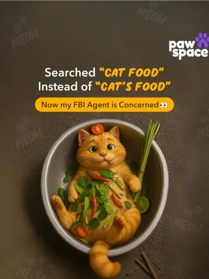 A simple typo can lead to some very concerning search results. Don't risk it. We make getting fresh, healthy, and appropriate cat food simple and stress-free.
