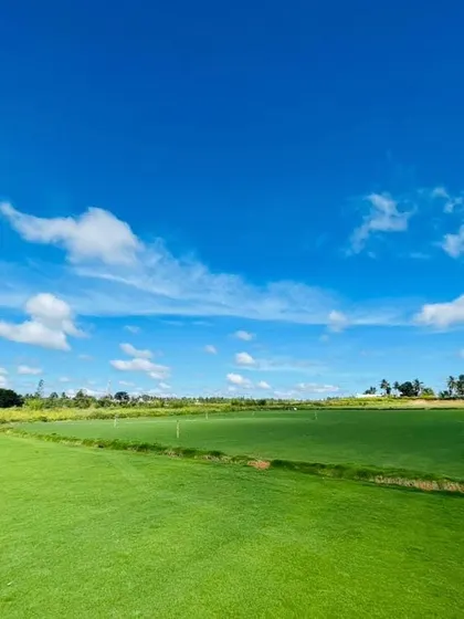 A beautiful, vast lawn of Mexican grass under a clear blue sky, showcasing the picture-perfect results of my work.