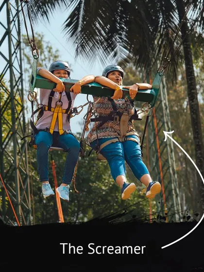 Every group has 'The Screamer,' especially on the Sky Swing. This person's expression is priceless.