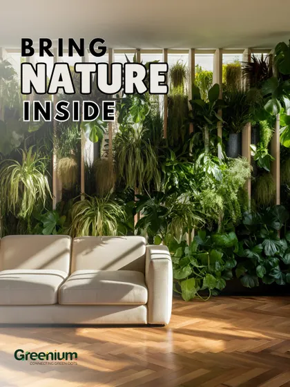 Bringing nature inside is my passion. This living room is filled with a variety of plants, creating a biophilic design that is both beautiful and beneficial for well-being.